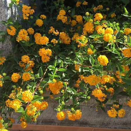 Mastrissa Country House Apartment Taormina Ngoại thất bức ảnh